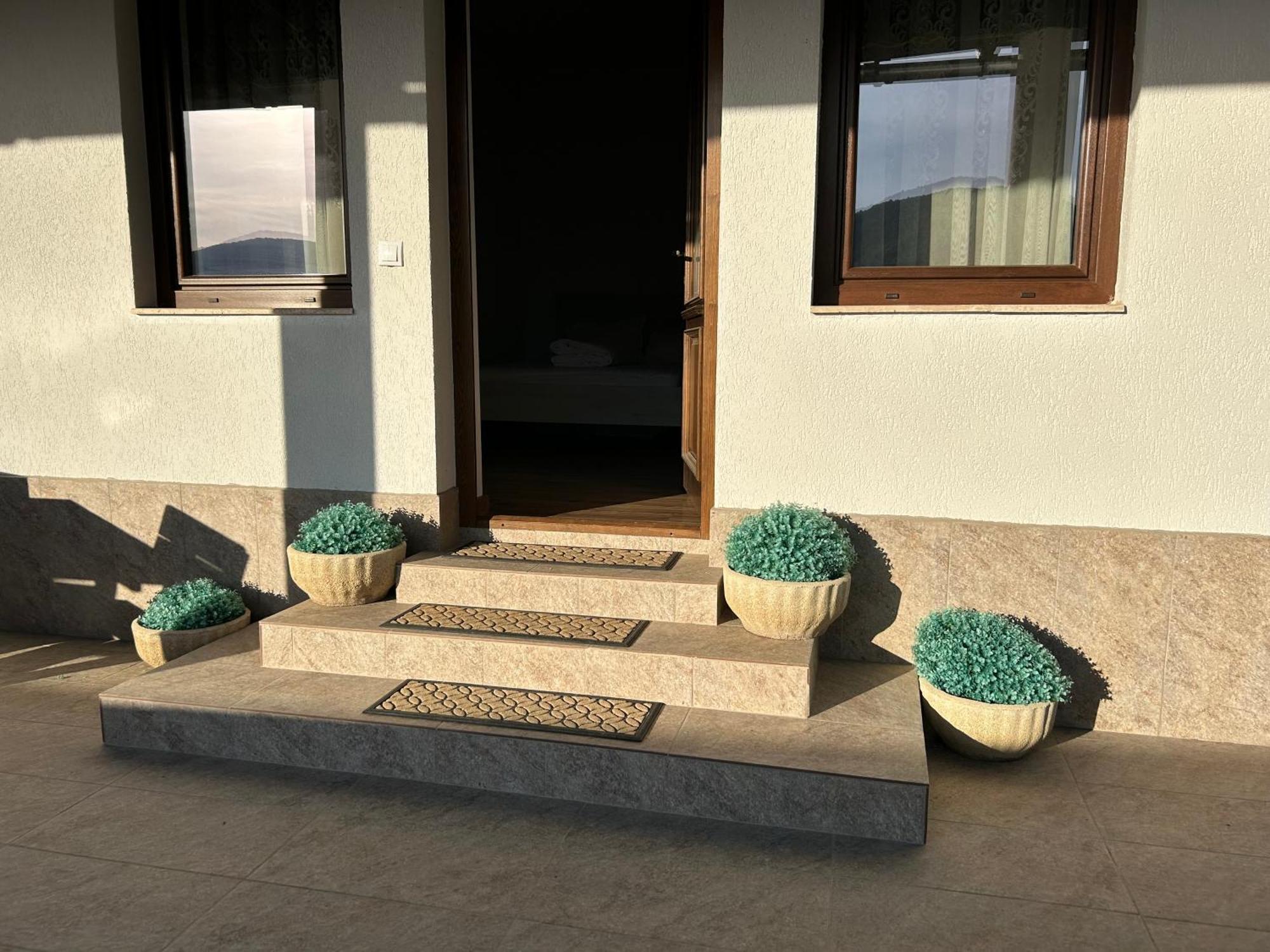 Gura Raului Casa de vacanta Villa Exterior foto